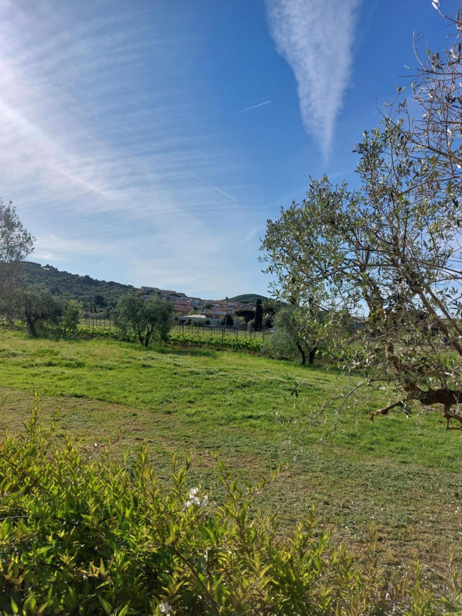 Vento E Mare Bed & Breakfast Riotorto Exterior photo